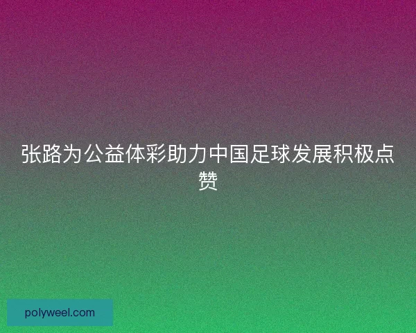 张路为公益体彩助力中国足球发展积极点赞